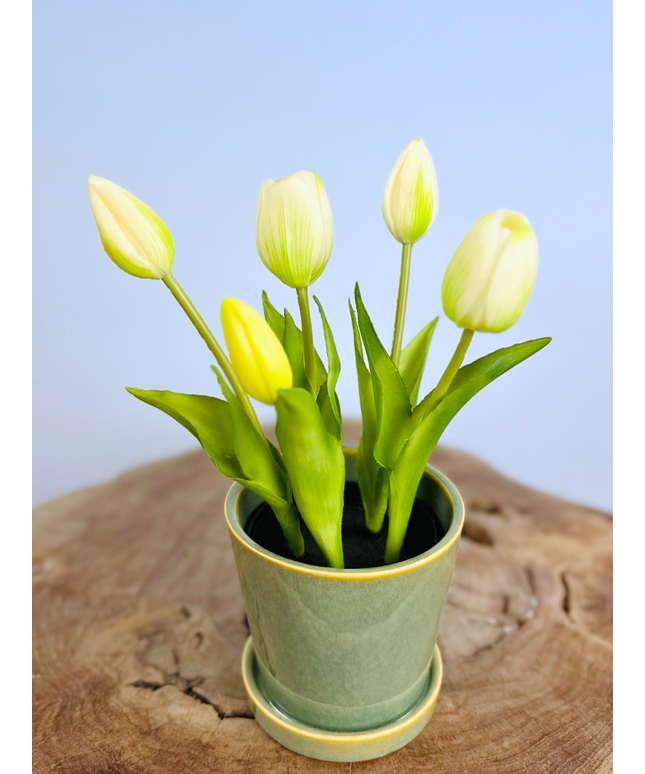 Kunst Tulpen - wit (incl. groene pot) | 30cm