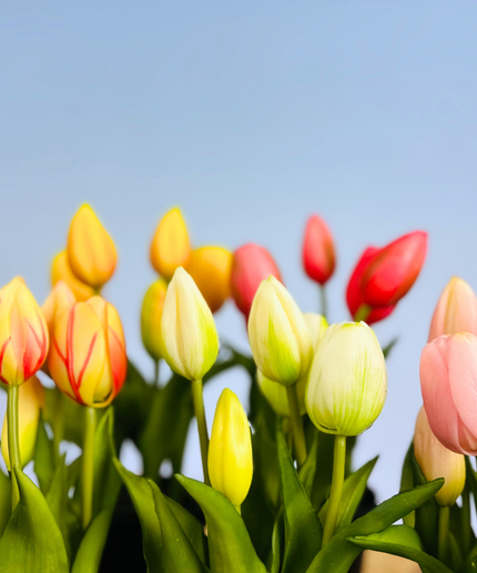 Kunst Tulpen - wit (incl. groene pot) | 30cm