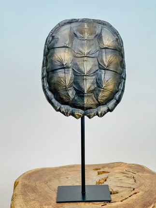 Turtle shell on stand | 20x10x40cm
