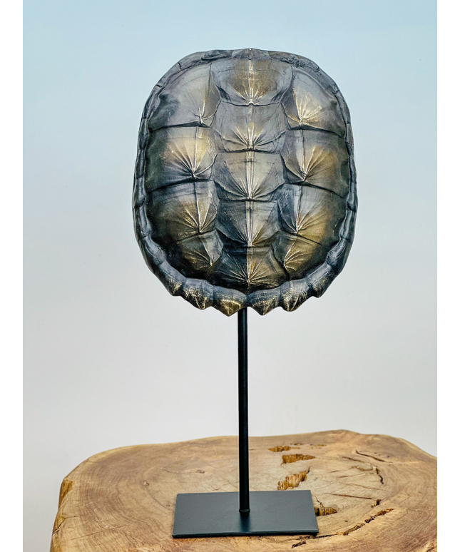 Turtle shell on stand | 20x10x40cm