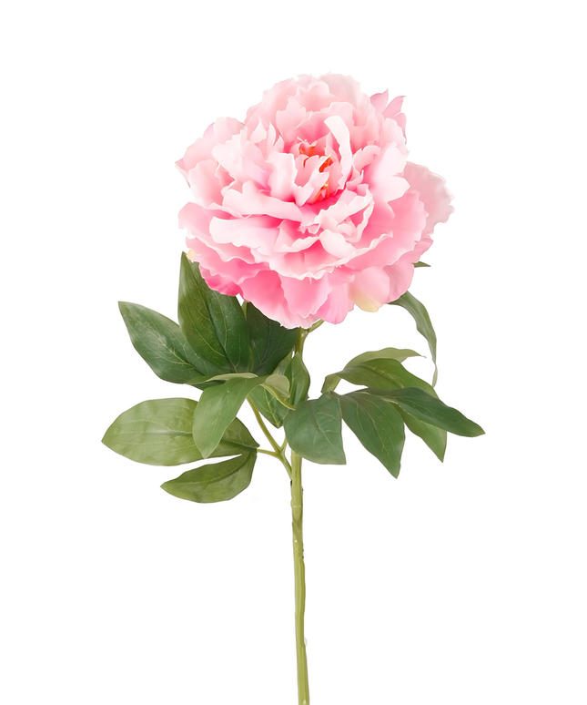 Zijden bloem "Peony" Spray Pink | 65cm
