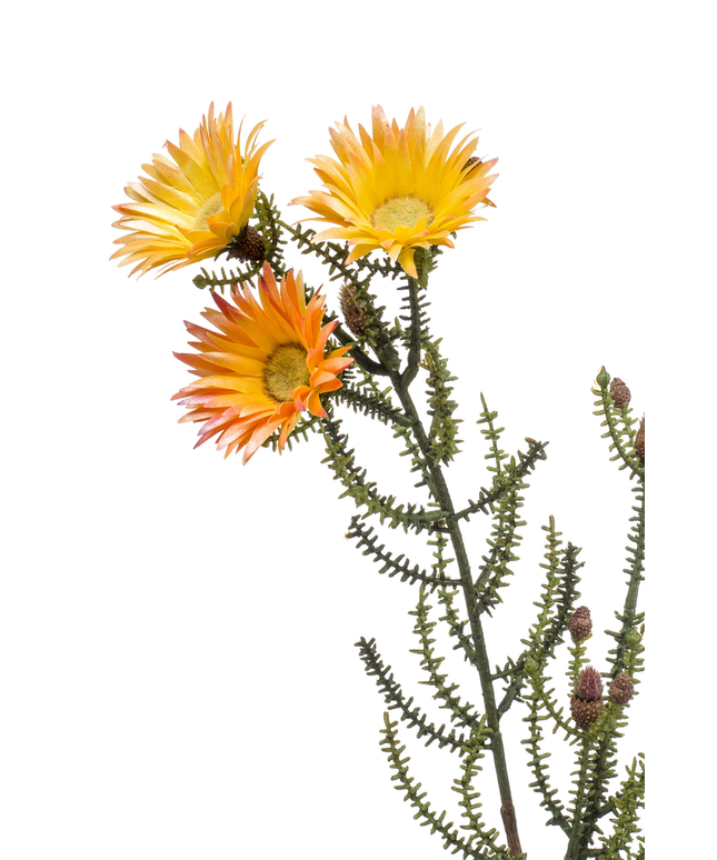 Zijden bloem "Phaenocoma" spray yellow | 61 cm